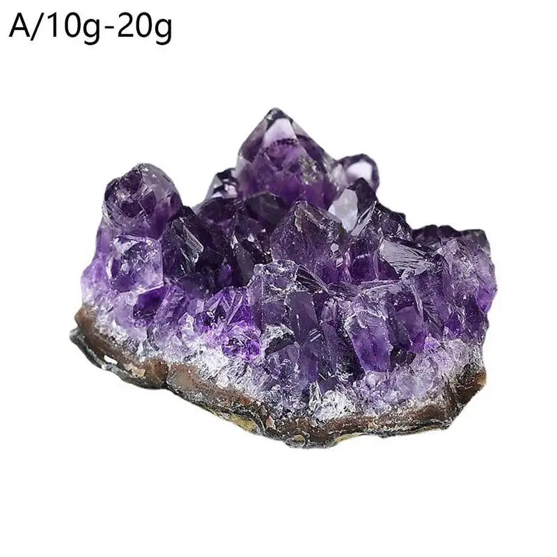 Natural Geode Amethyst-Jupi Collects Online Market