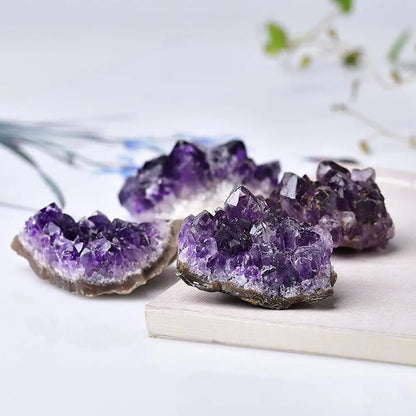 Natural Geode Amethyst-Jupi Collects Online Market