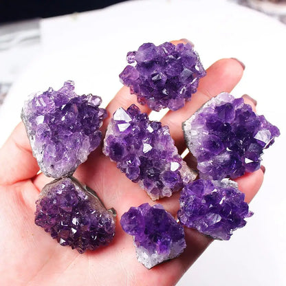 Natural Geode Amethyst-Jupi Collects Online Market