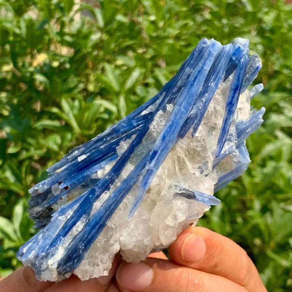 Natural Blue Kyanite-Jupi Collects Online Market