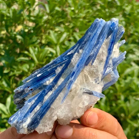 Natural Blue Kyanite-Jupi Collects Online Market