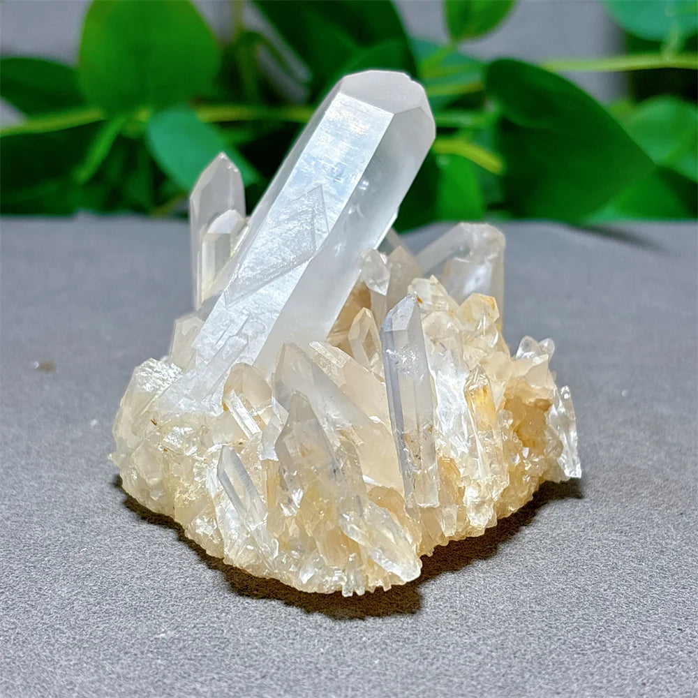 Clear Quartz Cluster-Jupi Collects Online Market