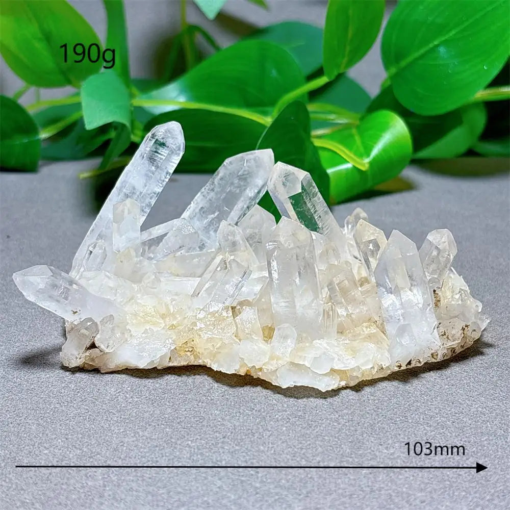 Clear Quartz Cluster-Jupi Collects Online Market